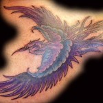 bird-2