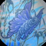 butterfly