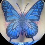 butterfly2